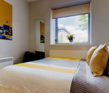 Premium Accessible Studio - Photo 2