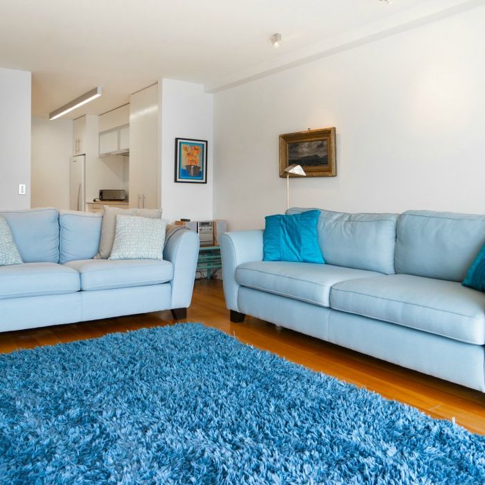 Spacious 2 bedroom apartment with views over Wellington's Waitangi Park and Oriental Parade - Photo 1