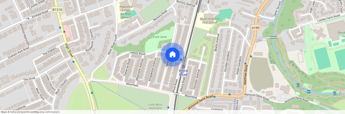 Lodore Road, High West Jesmond, NE2