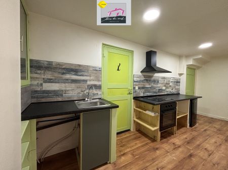 Location Appartement 1 pièce 40m² ST LAURENT DE LA CABRERISSE 11220 - Photo 2