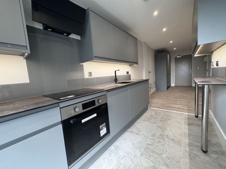 Jarrom Street, Leicester - Photo 4