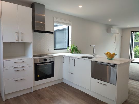 45B Hillier Place, Spreydon - Photo 1