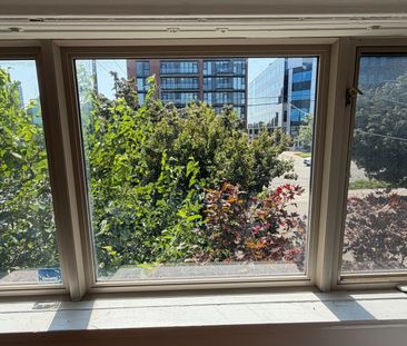 For Lease - 702 Sheppard Ave E Avenue, Toronto, Ontario - Photo 5