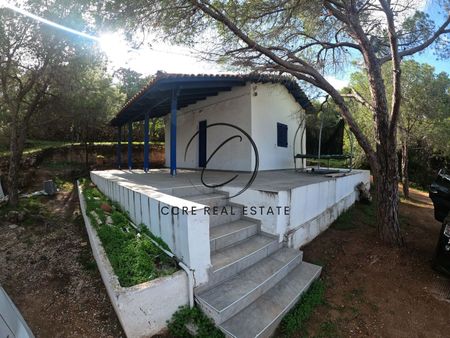 Μονοκατοικία για ενοικίαση Κάτω Σούνιο (Σούνιο) - Photo 5