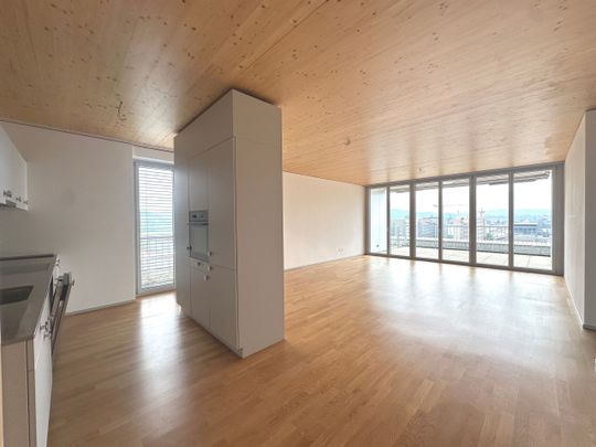 Your exclusive attic apartment above the rooftops of Winterthur! - Photo 1