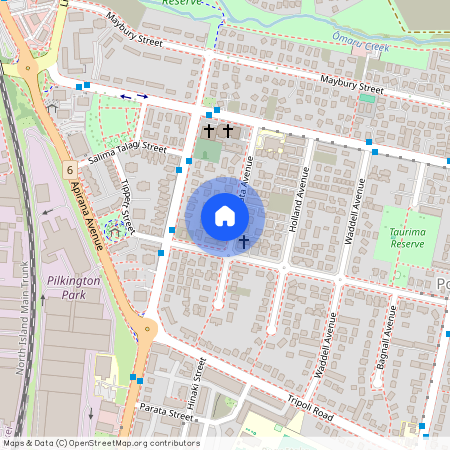 23 Ropata Avenue, Point England, Auckland City