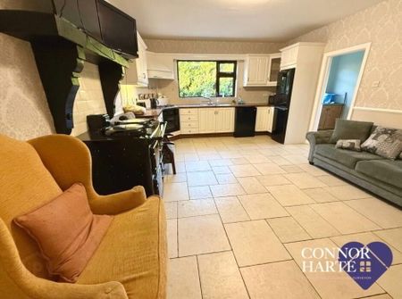 230 Barony Road, Creggan, Omagh, BT79 9AQ - Photo 5