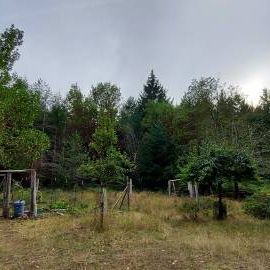 Bright & Spacious 2-Bedroom Home for Rent on Gabriola Island – $2,150 - Photo 1