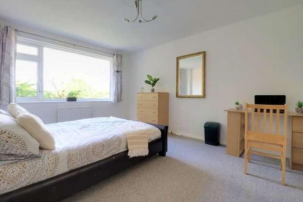 Egginton Road, Brighton, BN2 - Photo 1