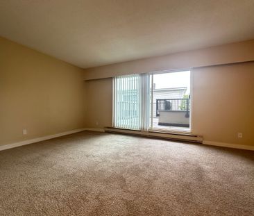 1 Bedroom With Storage & Patio – Prime New Westminster Location - Photo 3