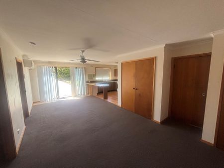 Unit 1/31 Cummings Street - Photo 2