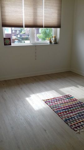 Meander 26 - Photo 5