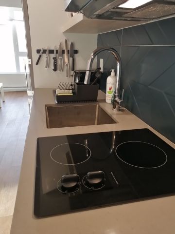 4820 4e Avenue, Montréal (Rosemont, QC H1Y - Photo 5