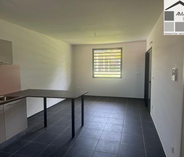 Location Appartement 2 pièces 45m² CAYENNE 97300 - Photo 2