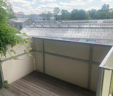 Betreutes Wohnen - Das Stadthaus Augasse Top 8 - [GF,AUG] - Photo 5