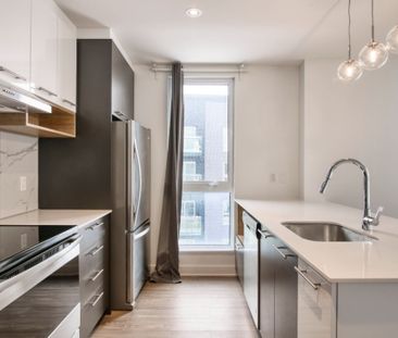 9675 Av. Papineau, app.9, H2B 3C8, H2B 3C8, Montréal - Photo 6