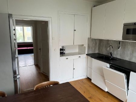 Danska vägen - Foto 3