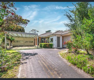 Peaceful & Quiet Location - Photo 6