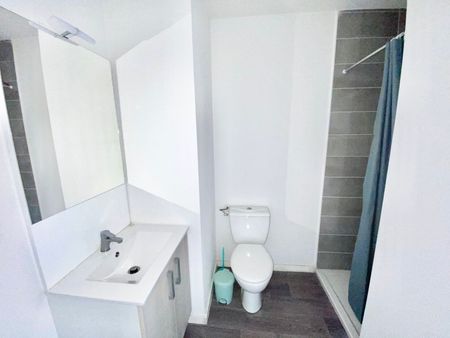 Location Appartement 1 pièce 19m² AUZEVILLE TOLOSANE 31320 - Photo 4