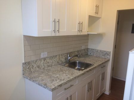 1 Br Condo For Rent In Mount Pleasant. - Photo 3