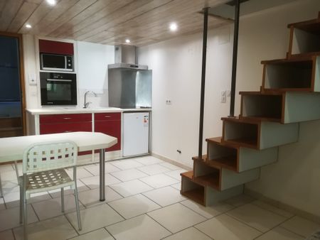 Location Appartement 1 pièce 36m² ST BAUZILLE DE LA SYLVE 34230 - Photo 4