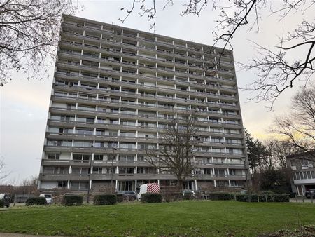 Bosuil 83, 2100, Deurne - Photo 5