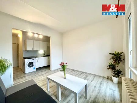 Pronájem bytu 1+kk, 28 m - Fotografie 4