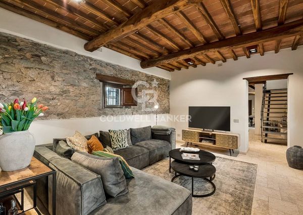 viale apua, Pietrasanta, Tuscany 55045