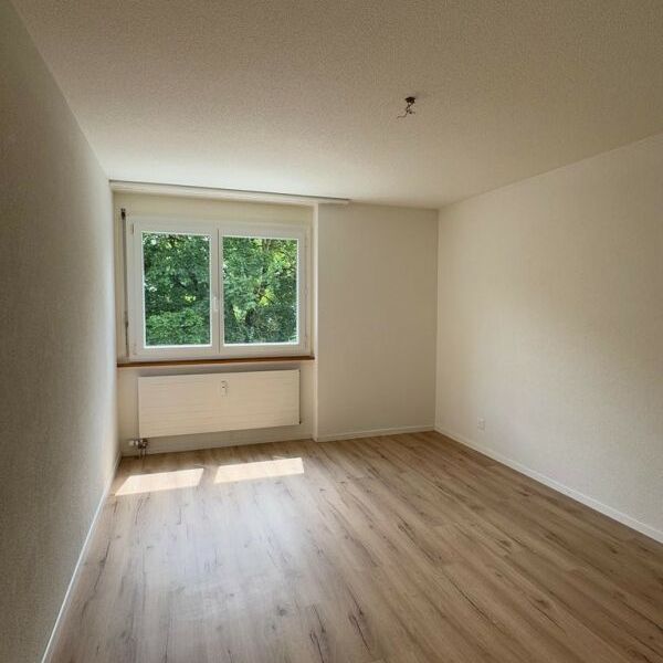 4.5 Zimmerwohnung für den 01.02.2026 in Orpund zu vermieten ! - Photo 1