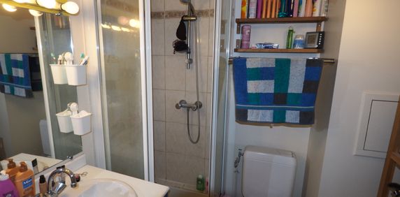 Location Appartement 1 pièce 28m² - Photo 2