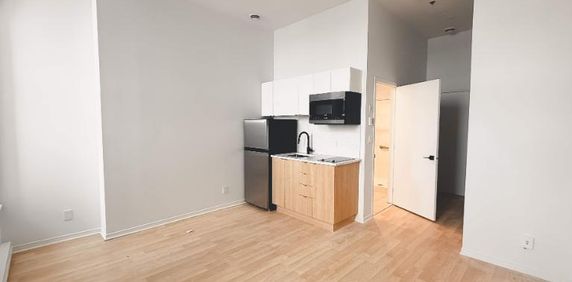 1 CH - 1 SDB - Montréal - $1,245 /mo - Photo 2
