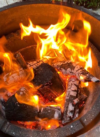 Canterbury - Photo 3