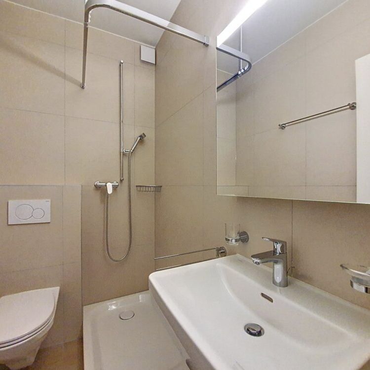 Joli appartement de 1 pièce au rez, 33m2 - Photo 1