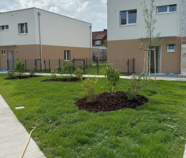 Reihenhaus mit Terrasse und Garten, Top 7C - Photo 2