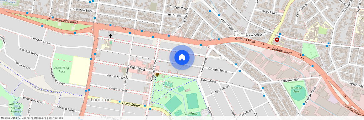 56 Devitre Street, 2299, Lambton Nsw