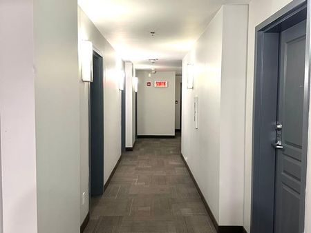 3456 Av. du Parc - Photo 2