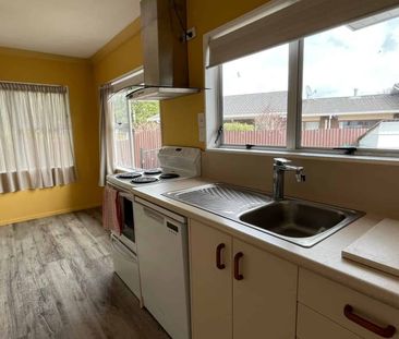 14 Strathmore Avenue, Levin - Photo 3