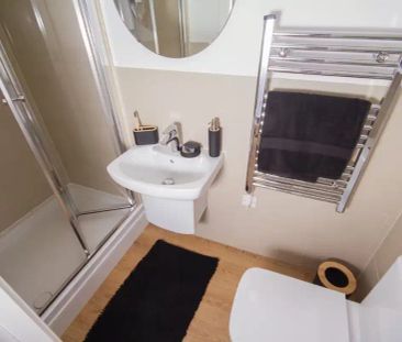 Large Classic Studio - Photo 5