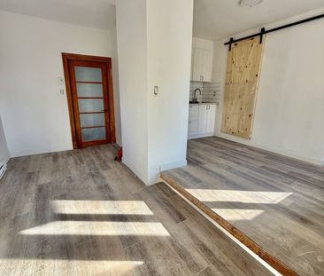 Grande 3 ½ Appartement à Louer / Large 3 - Photo 2