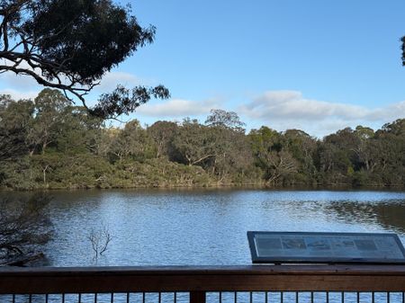 Nunawading - Photo 4