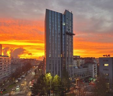 Lichtdurchflutete 2 Zimmer Wohnung mit perfekter Anbindung - Photo 4
