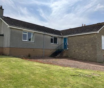 3 bedroom bungalow to rent - Photo 1