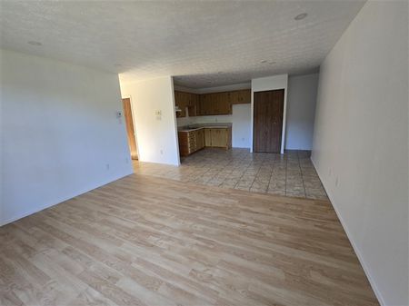 2080-310 rue Gauthier 995$ Vacant - Photo 2