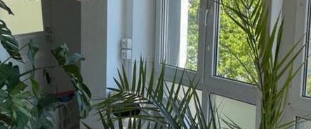 52 Quadratmeter zum Wohlfühlen - Foto 1