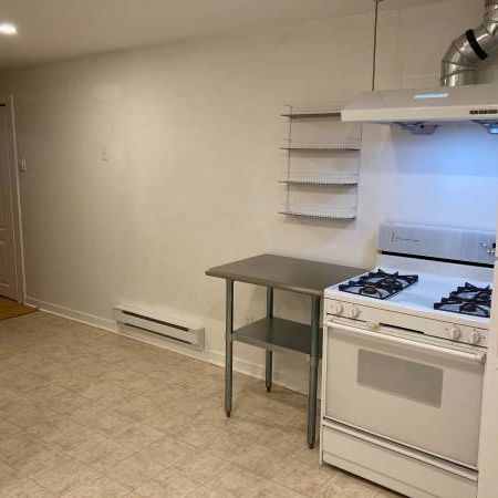 1 bedroom+1 den/ basement suite/600 sqft - Photo 1