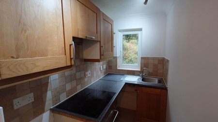 1 bedroom flat to rent - Photo 3