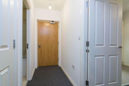 305 Saint Anne's Square, Albert Court, 7 Edward Street, Belfast, BT1 2LP - Photo 4