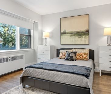 280 Laurier Ave. E, Ottawa, ON K1N 6P5, Canada - Photo 6