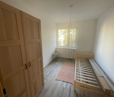 Świeżo po remoncie,3 pokoje,loggia, top lokalizacj - Photo 3