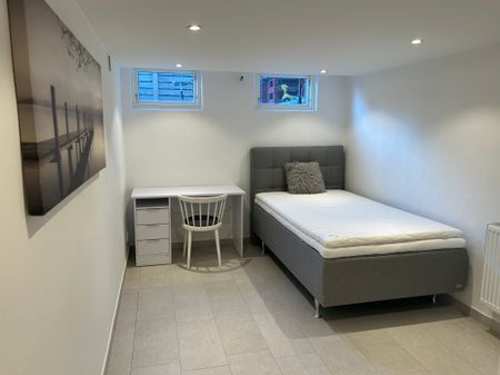 Bragevägen, Lund - Photo 5